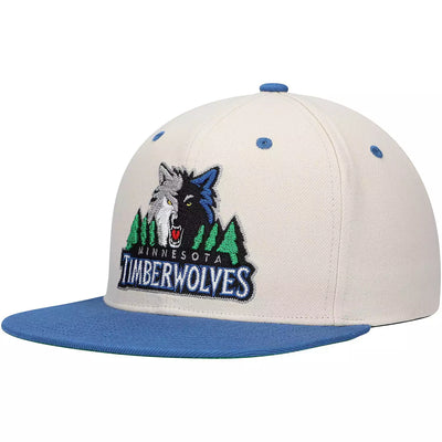 Minnesota Timberwolves Heather Under Pop Cap