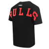 Mens Chicago Bulls Wingspan T-Shirt