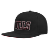 Mens Chicago Bulls Wingspan Snapback Cap