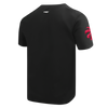 Mens Toronto Raptors Split Logo T-Shirt