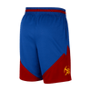 Mens Denver Nuggets Statement Swingman Shorts