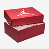Womens Air Jordan 4 Retro Shoe