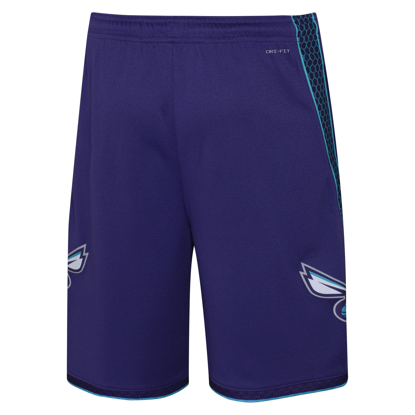 Boys Charlotte Hornets Statement Swingman Replica Shorts