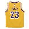 Kids Los Angeles Lakers Lebron James Icon Replica Jersey Set