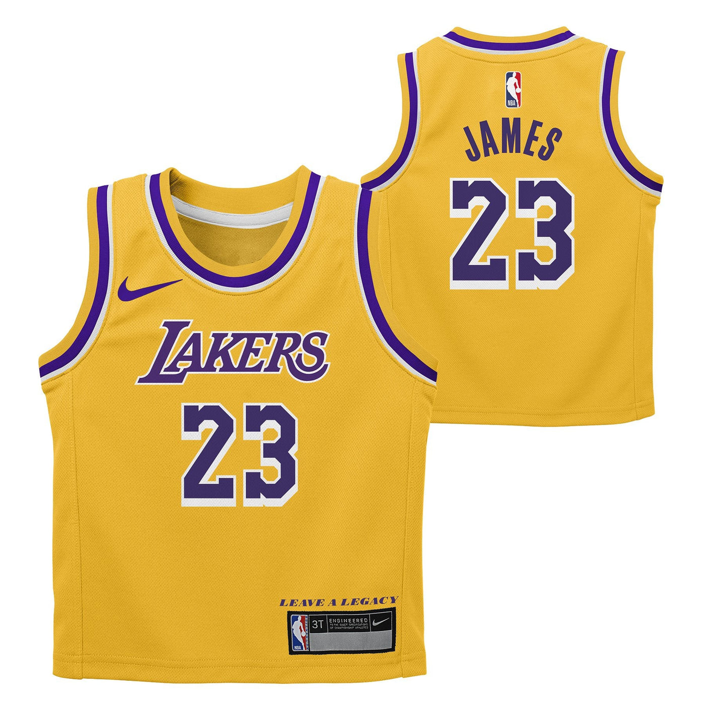 Kids Los Angeles Lakers Lebron James Icon Jersey