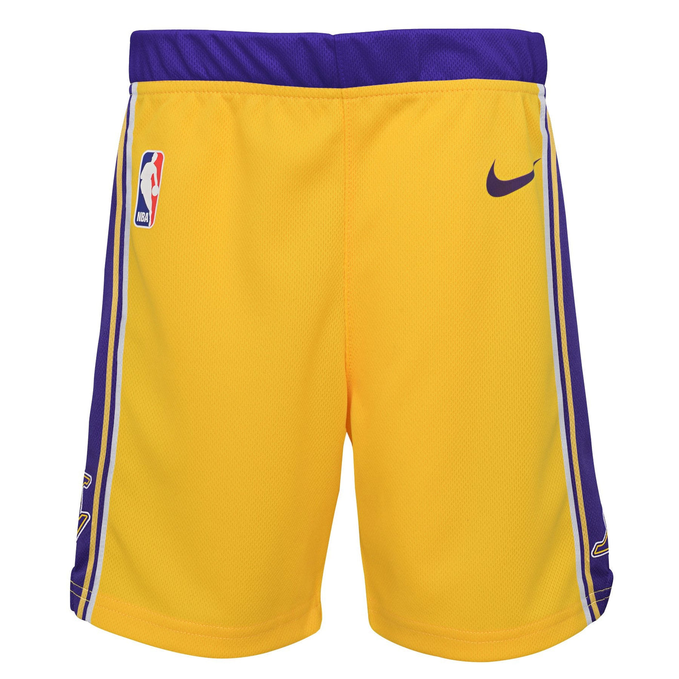 Kids Los Angeles Lakers Icon Shorts