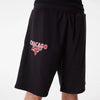 Mens Chicago Bulls Team Script Cap
