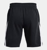Mens Steph Curry Splash Fleece Shorts