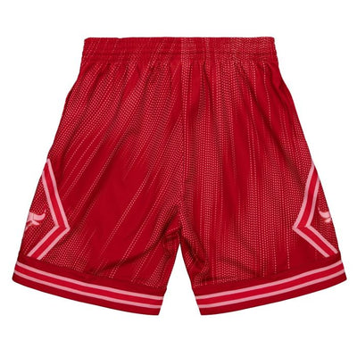 NBA Monochrome Swingman Shorts Chicago Bulls 2008