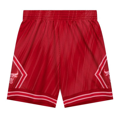 NBA Monochrome Swingman Shorts Chicago Bulls 2008