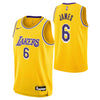 Boys Los Angeles Lakers Lebron James Icon Swingman Replica Jersey