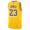 Boys Los Angeles Lakers Lebron James Icon Swingman Replica Jersey