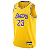 Boys Los Angeles Lakers Lebron James Icon Swingman Replica Jersey